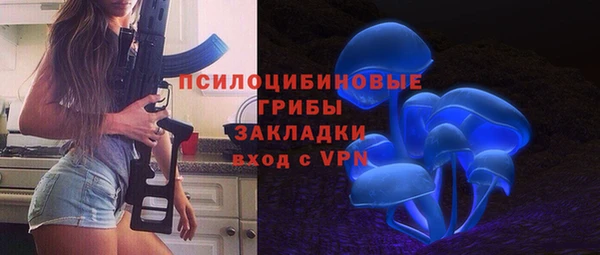 индика Алзамай