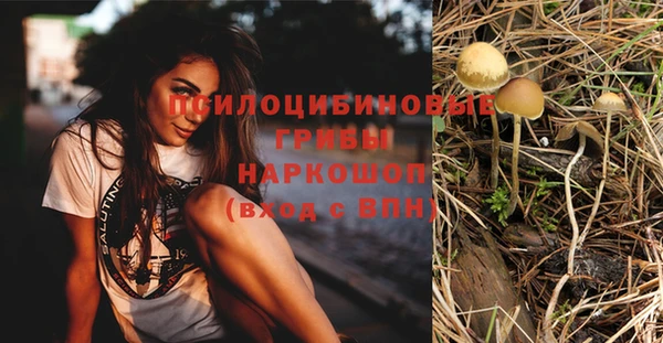 соль ск Алексеевка