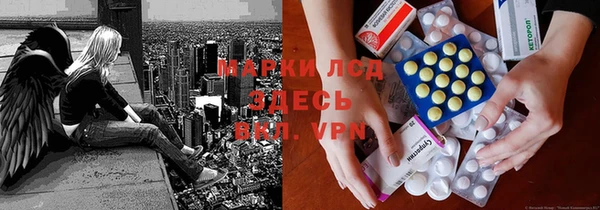 индика Алзамай