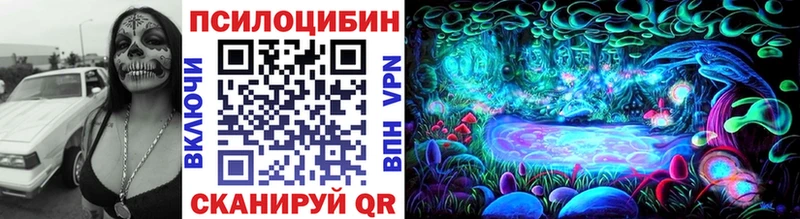 Псилоцибиновые грибы Psilocybe  дарк нет наркотические препараты  Власиха 