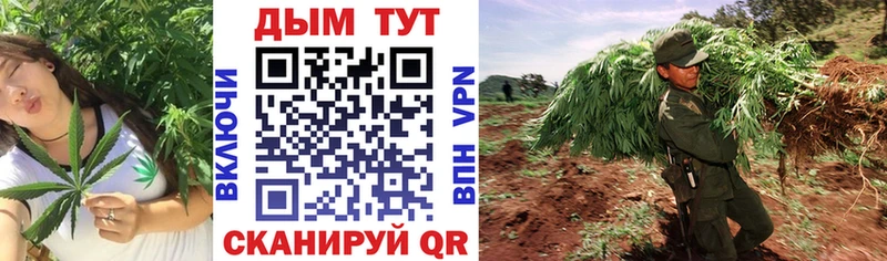 Шишки марихуана White Widow OMG ССЫЛКА Власиха